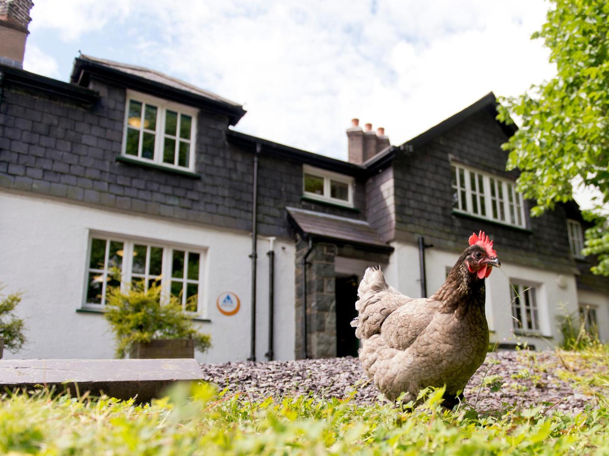 Yha Idwal Cottage Bethesda Exteriör bild