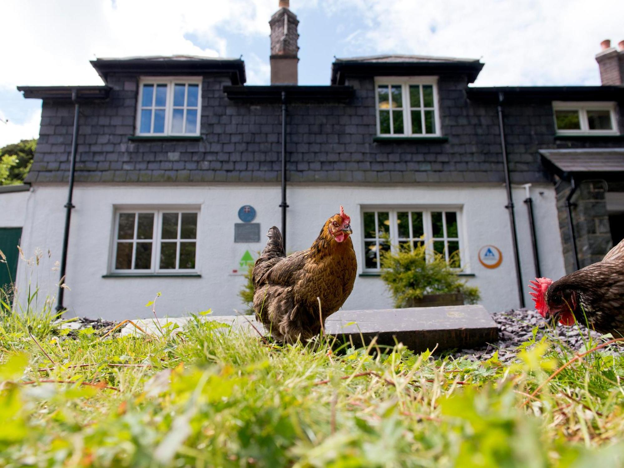 Yha Idwal Cottage Bethesda Exteriör bild